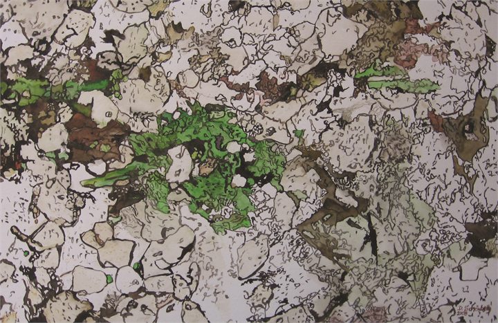 Petrographisches Gemälde Pyroxen-Amphibol-Gneis nach einem Gestein aus Karlstein an der Thaya, Waldviertel, von Dieter Schönberg