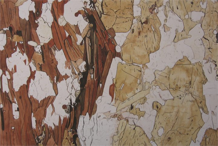 Petrographisches Gemälde Biotit-Granat-Amphibolit nach einem Gestein aus Oberpfaffendorf–Raabs, Waldviertel, von Dieter Schönberg