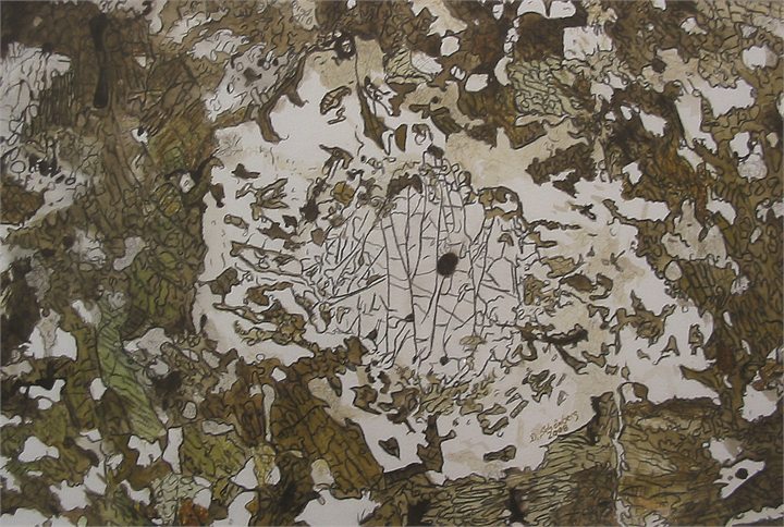 Petrographisches Gemälde Granat-Pyroxen-Amphibolit nach einem Gestein aus Karlstein an der Thaya, Waldviertel, von Dieter Schönberg